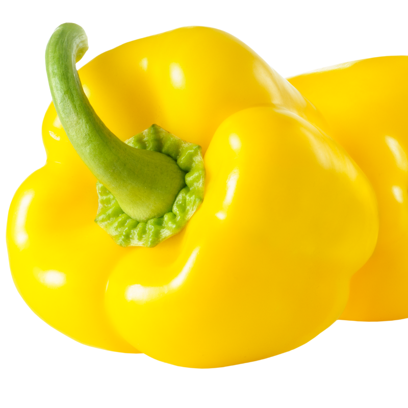 Capsicum Yellow