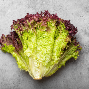 Lettuce Lolo Roso