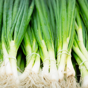 Spring Onion