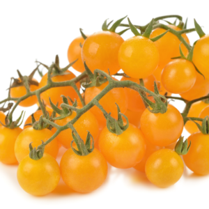 Tomato Cherry Yellow