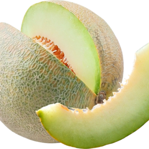 Honey Dew Melon