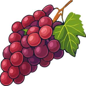 Grapes Red