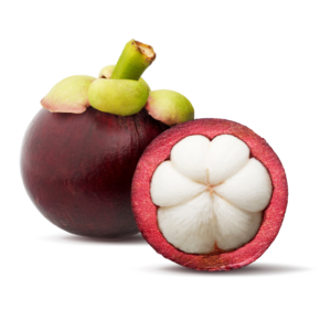 Mangosteen