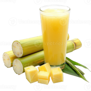 Sugar Cane