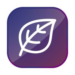 2025-08-28-68b019175059a